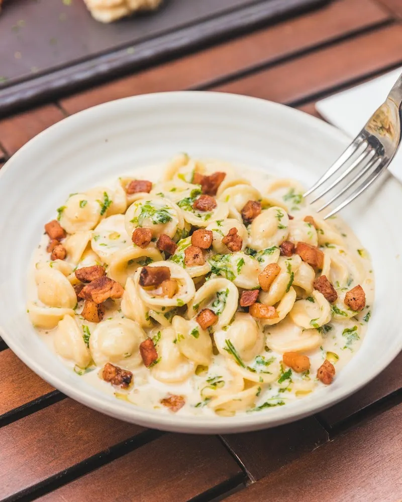 Orecchiette Alla Crema Di Taleggio